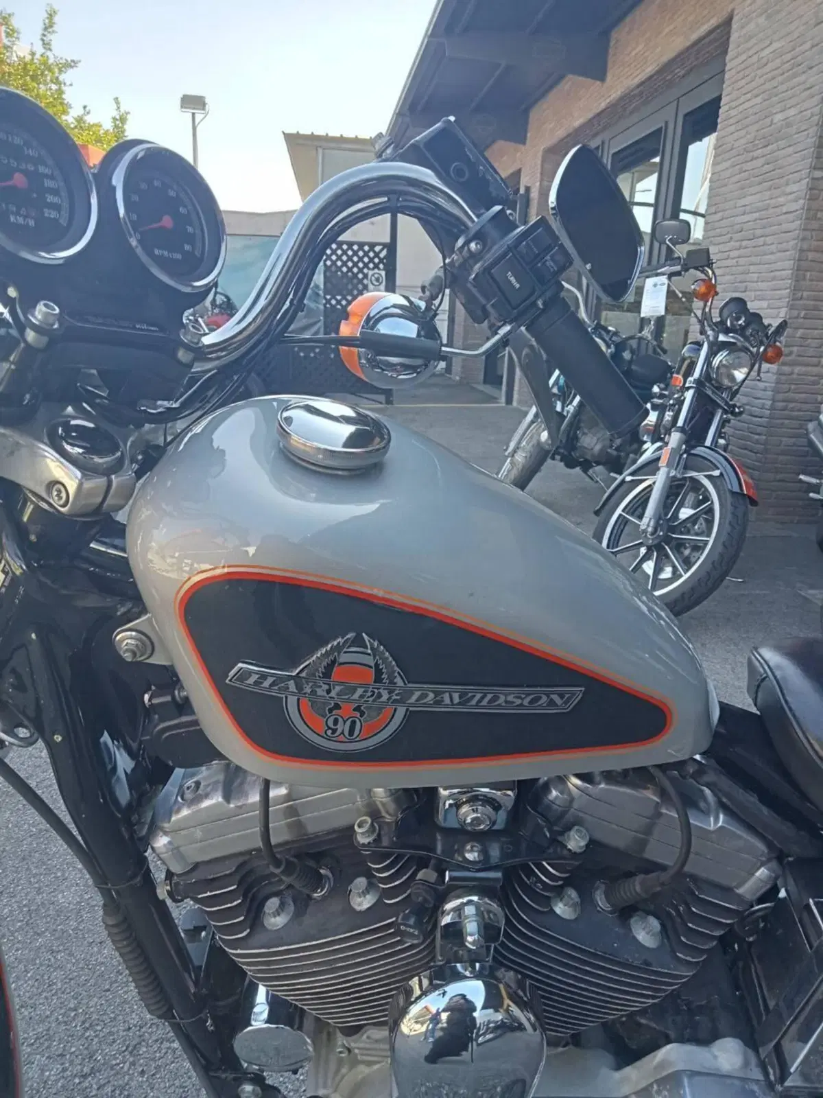 Harley-Davidson 1200 (1988 - 96) - HLX (2)