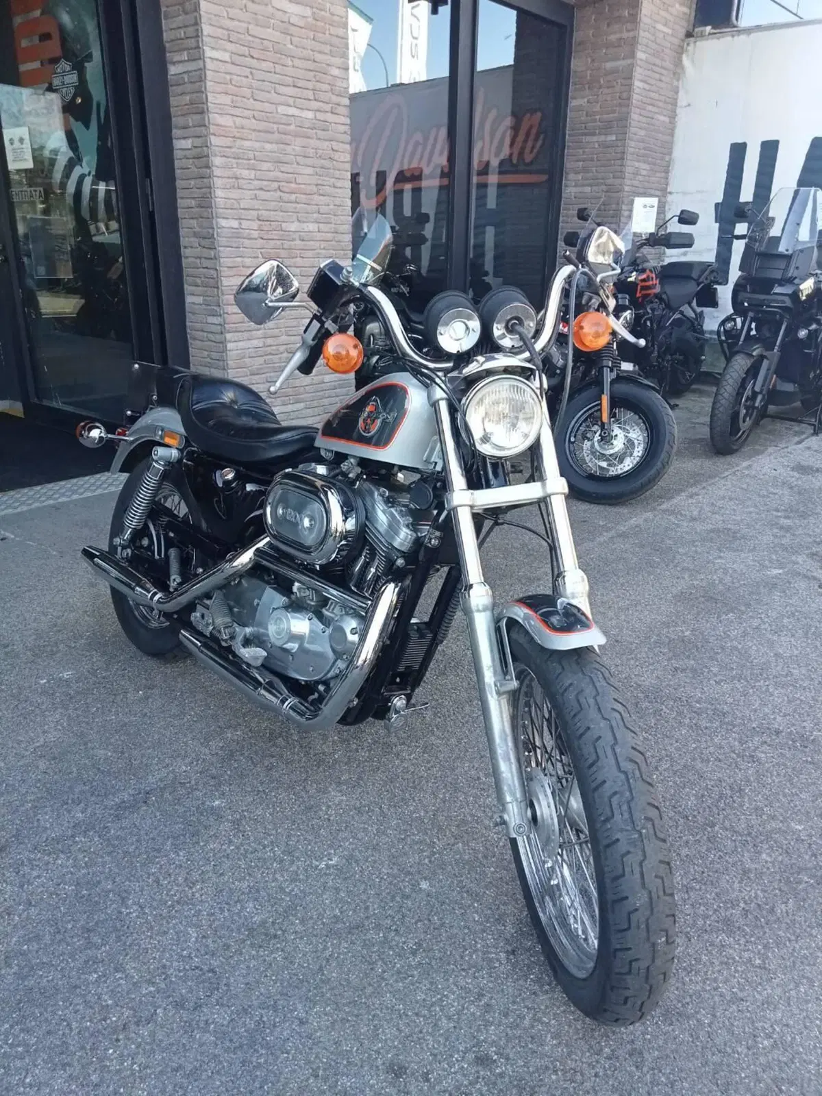 Harley-Davidson 1200 (1988 - 96) - HLX (3)