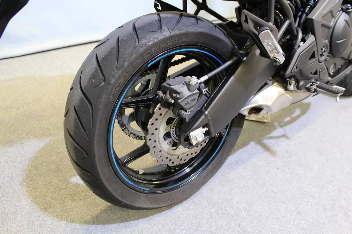 Kawasaki Versys 650 (2025 - 26) (4)