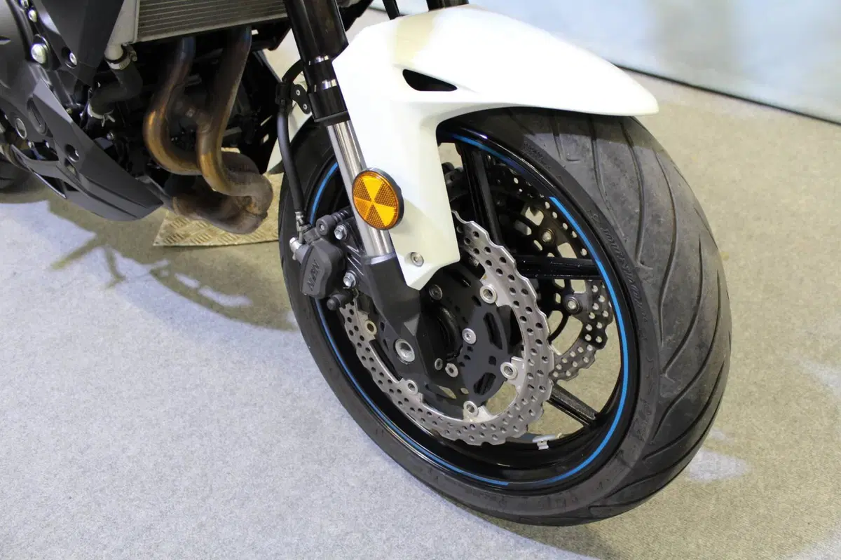 Kawasaki Versys 650 (2025 - 26) (5)