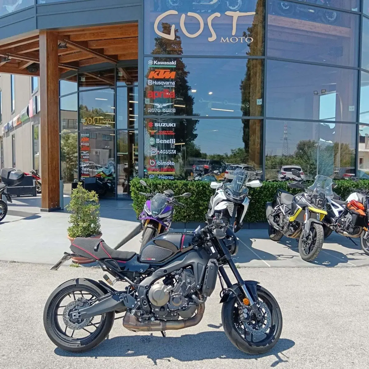 Yamaha XSR 900 (2022 - 24) (2)