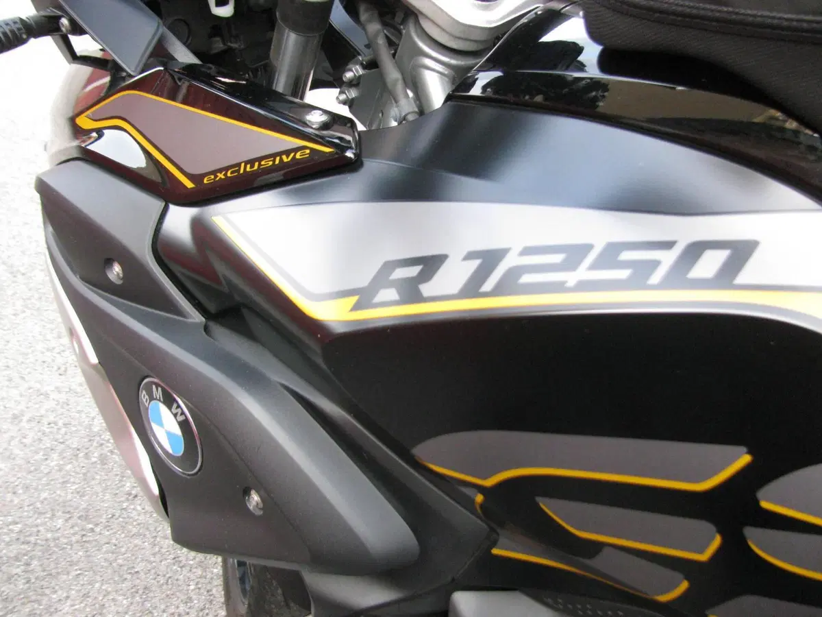 Bmw R 1250 GS (2019 - 20) (9)