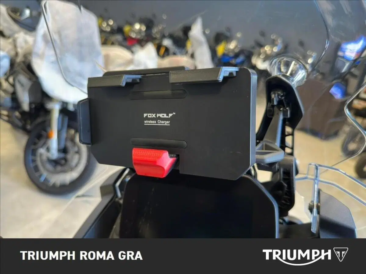 Bmw F 900 GS Adventure (2024 - 26) (14)