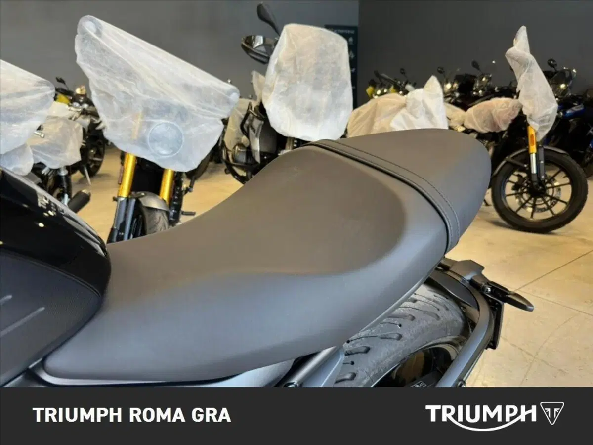 Triumph Trident 660 (2025) (15)