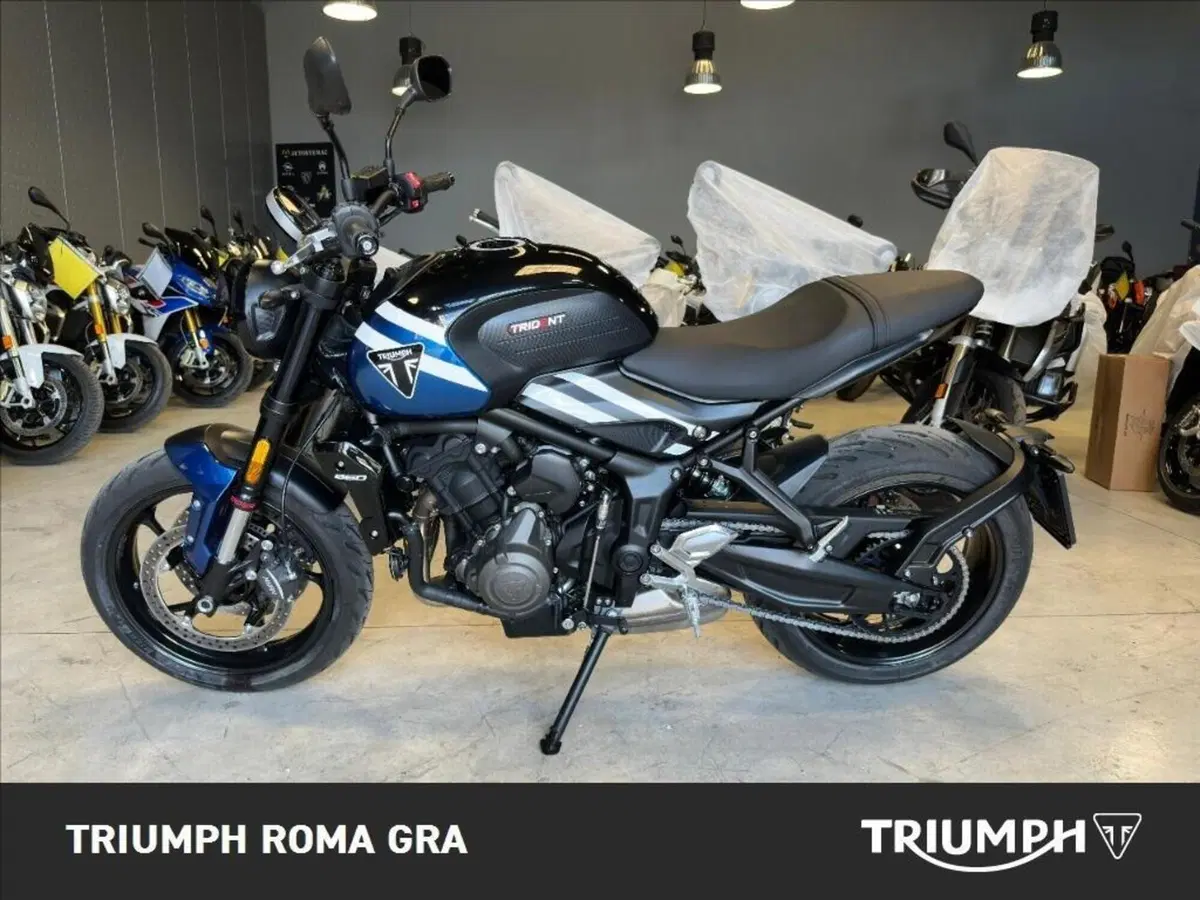 Triumph Trident 660 (2025) (3)