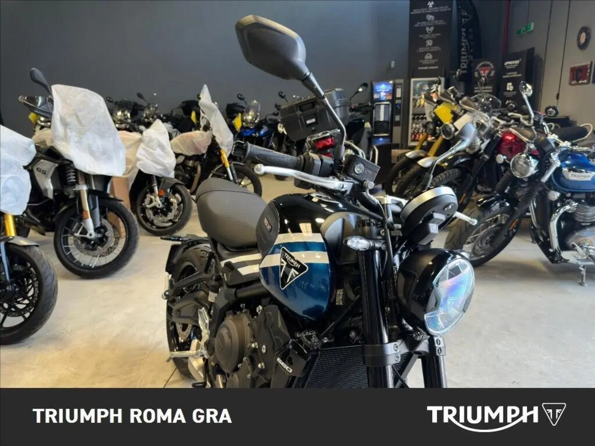 Triumph Trident 660 (2025) (12)