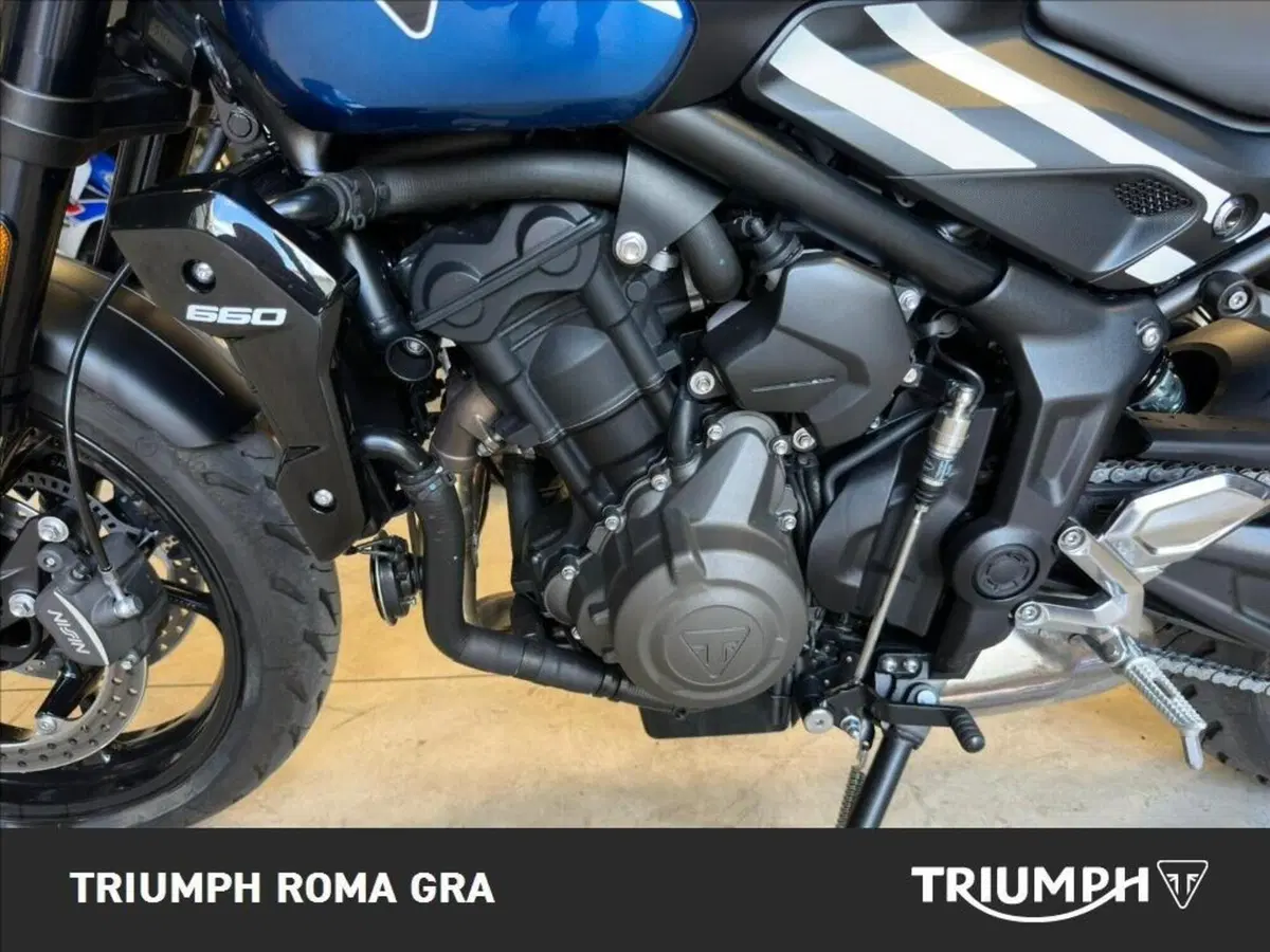 Triumph Trident 660 (2025) (9)