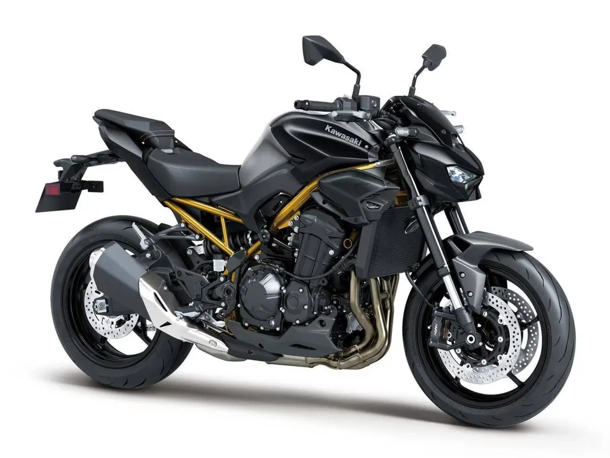 Kawasaki Z 900 (2025 - 26) (3)