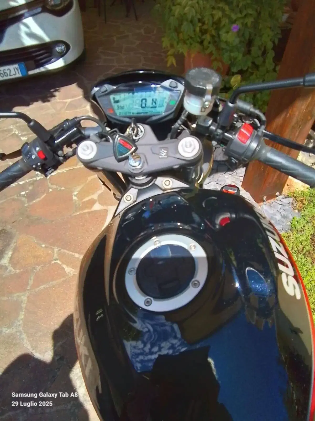 Suzuki SV 650 X (2018 - 20) (2)
