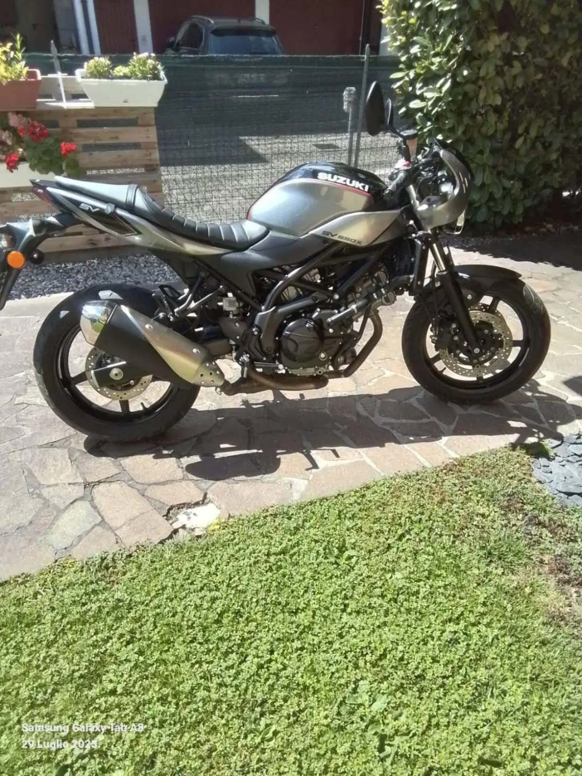 Suzuki SV 650 X (2018 - 20)