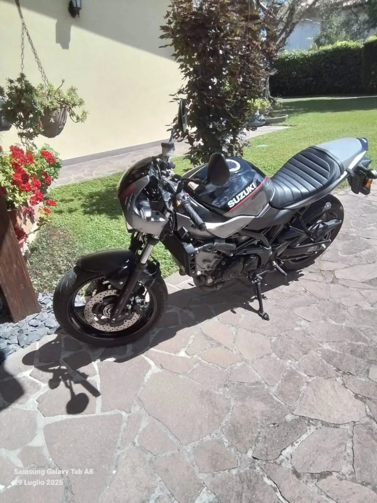 Suzuki SV 650 X (2018 - 20) (3)