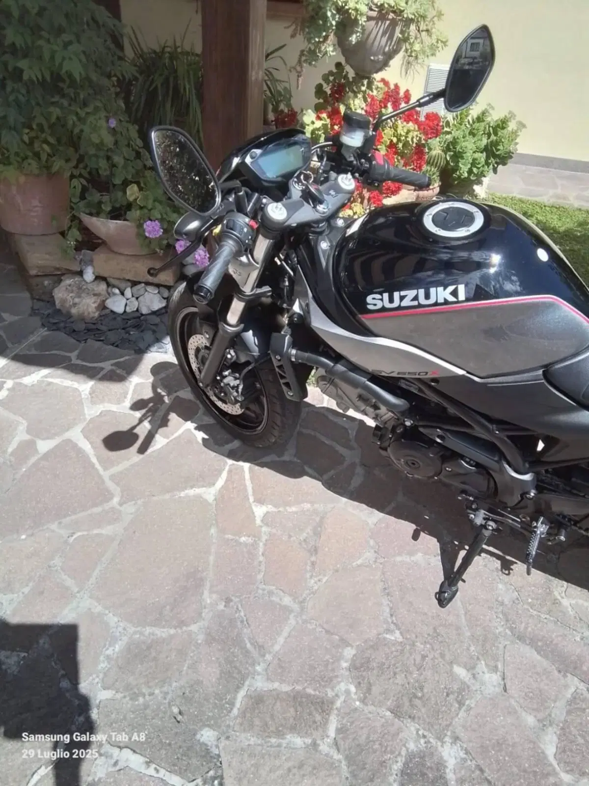 Suzuki SV 650 X (2018 - 20) (4)