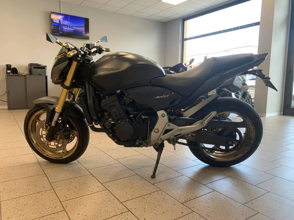 Honda Hornet 600 (2011 - 13) (5)