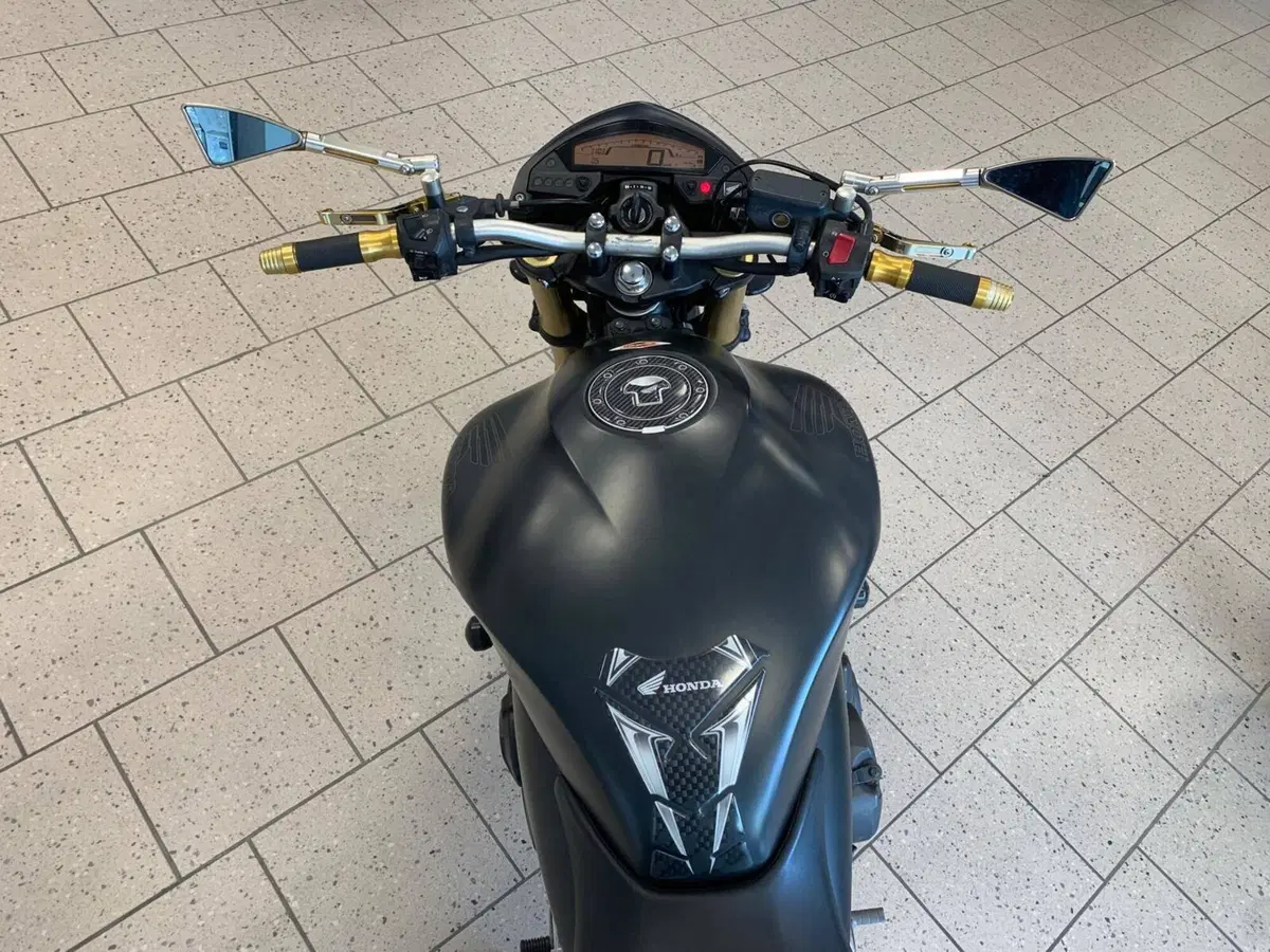 Honda Hornet 600 (2011 - 13) (9)