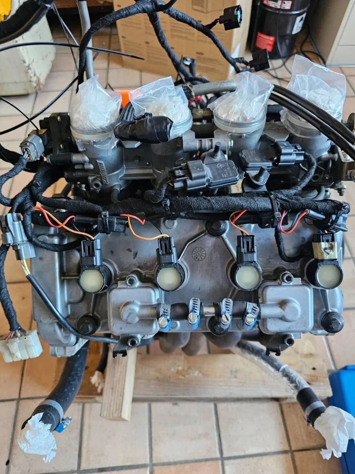 Kawasaki Ninja 600 ZX-6RR (2005 - 06) (11)