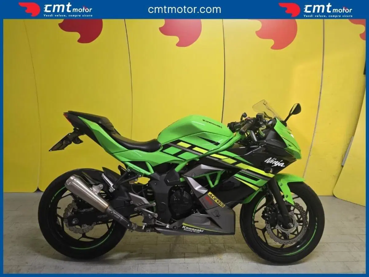 Kawasaki Ninja 125 (2019 - 20)