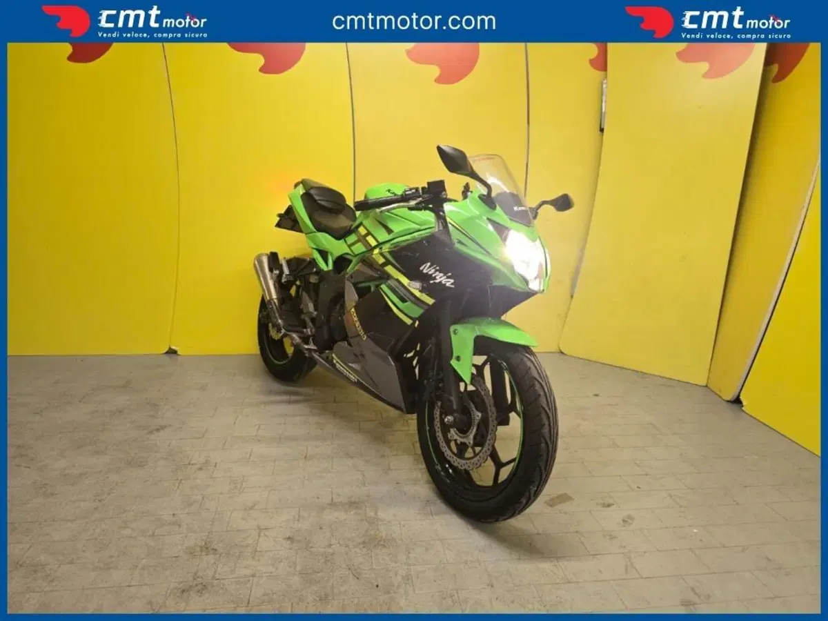 Kawasaki Ninja 125 (2019 - 20) (2)