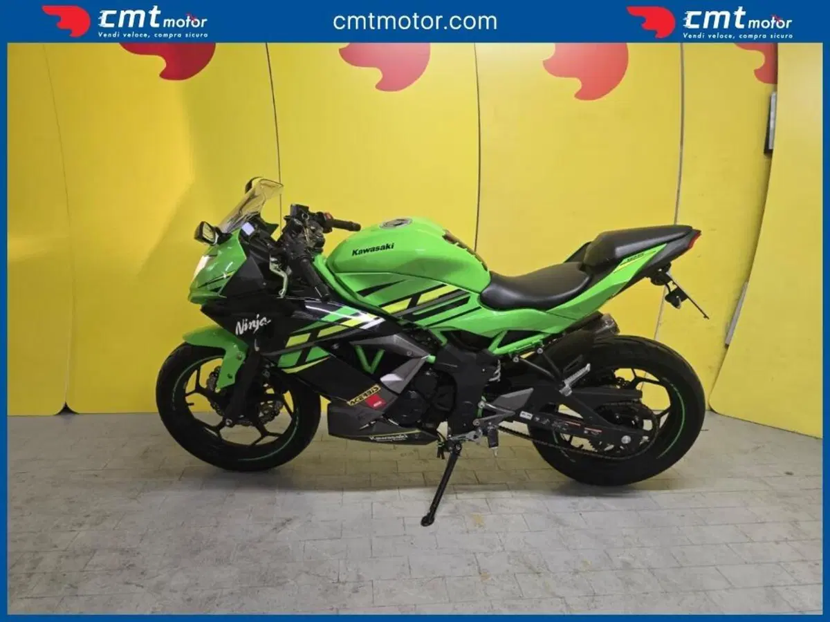 Kawasaki Ninja 125 (2019 - 20) (3)