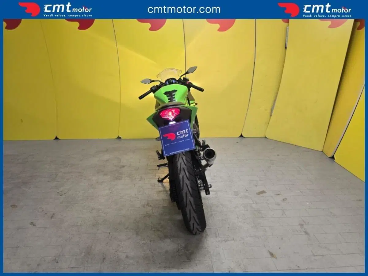 Kawasaki Ninja 125 (2019 - 20) (4)