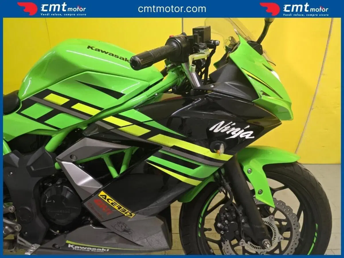Kawasaki Ninja 125 (2019 - 20) (5)