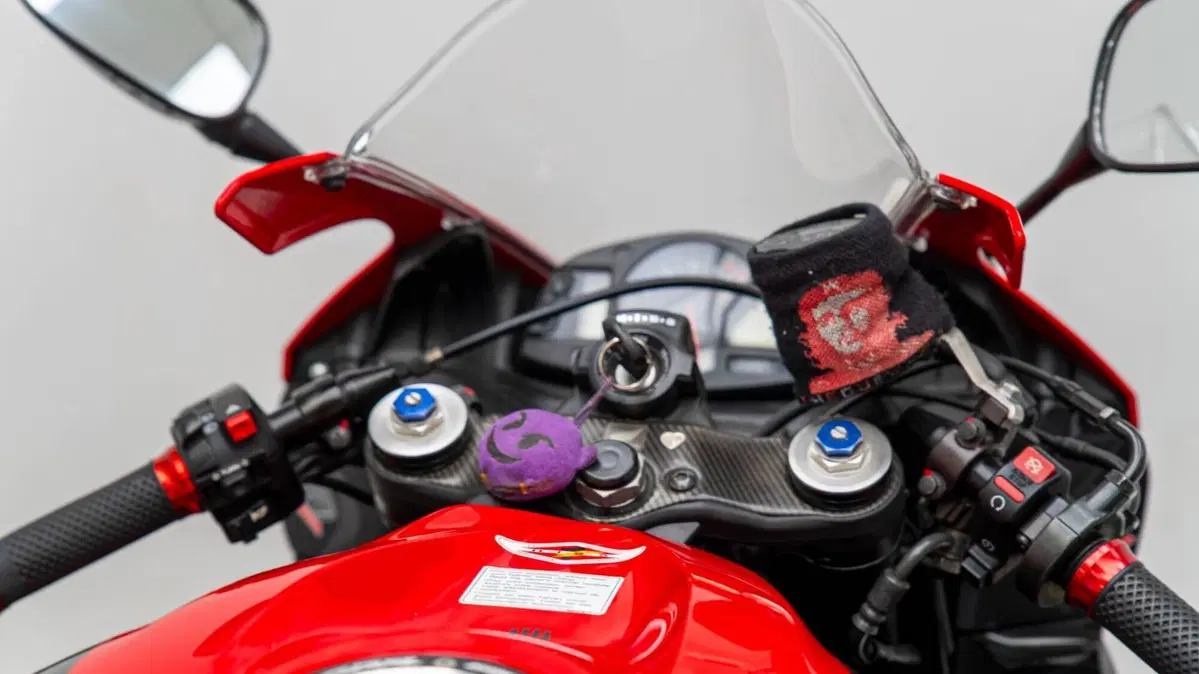 Honda CBR 600 RR (2007 - 08) (17)