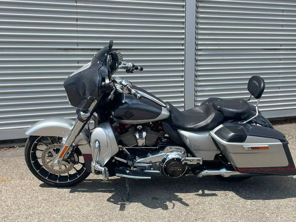 Harley-Davidson 117 Street Glide (2018 - 20) - FLHXSE (18)