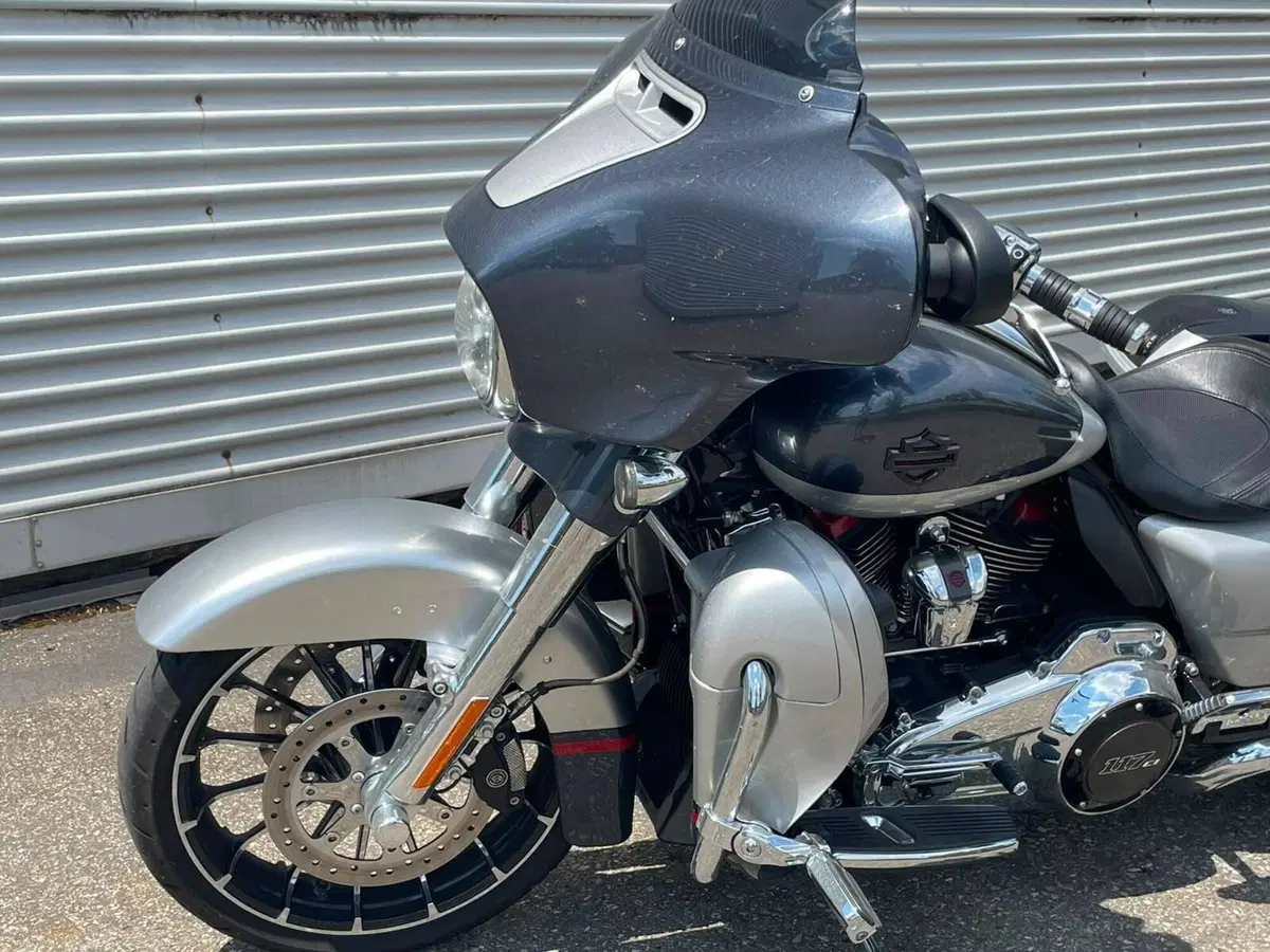 Harley-Davidson 117 Street Glide (2018 - 20) - FLHXSE (20)