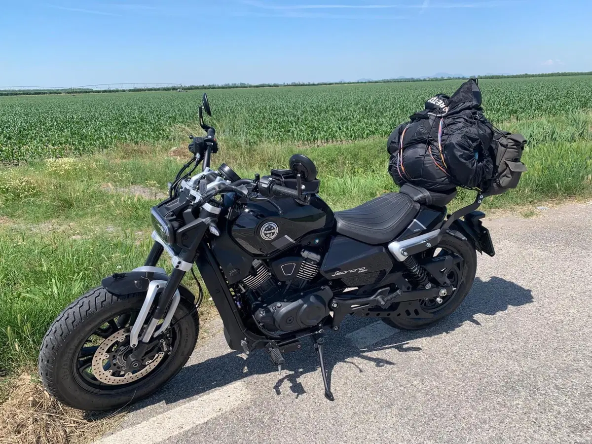 Benelli Leoncino 400 Bobber (2026) (2)
