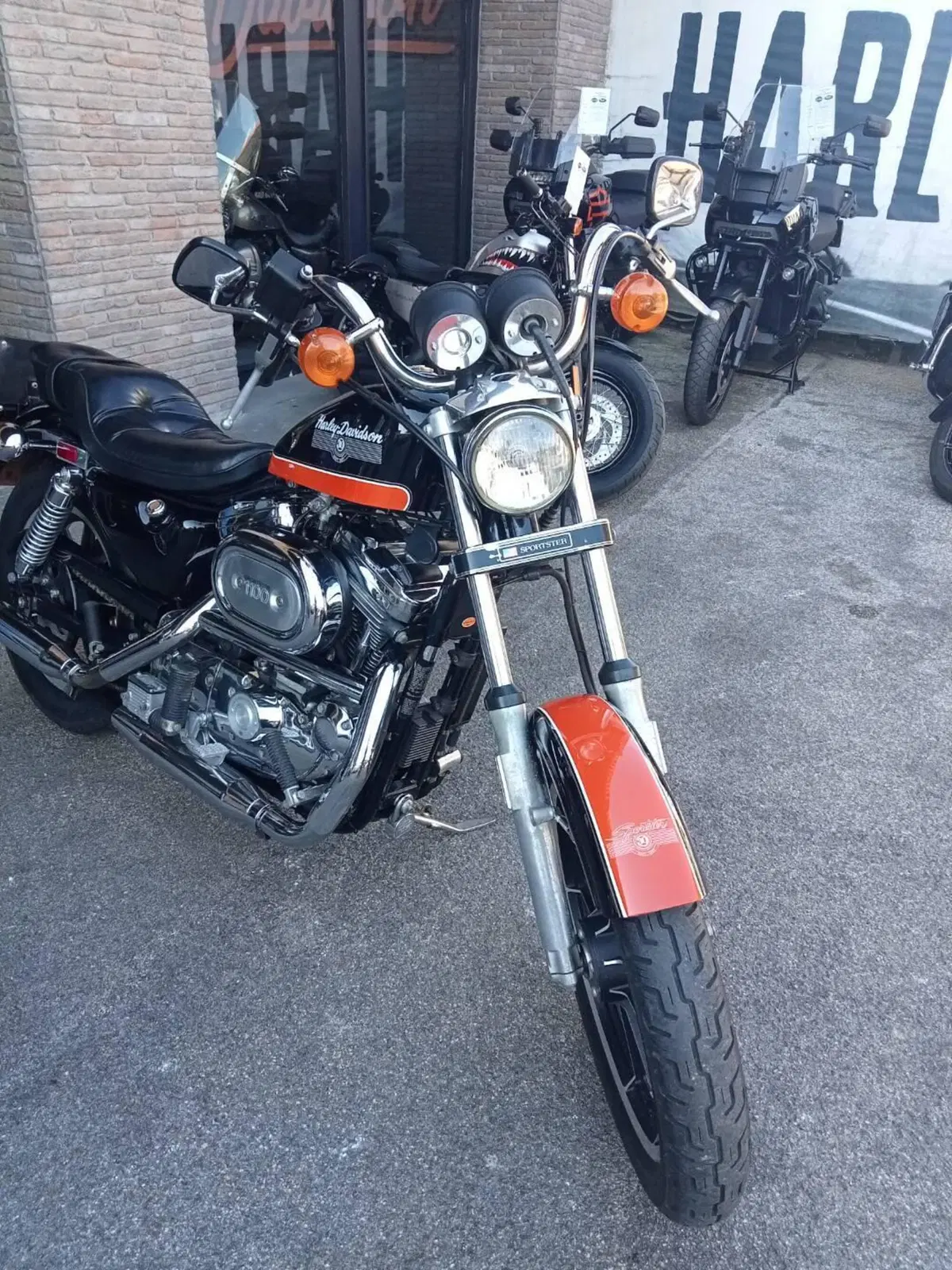 Harley-Davidson 1200 (1988 - 96) - HLX (4)
