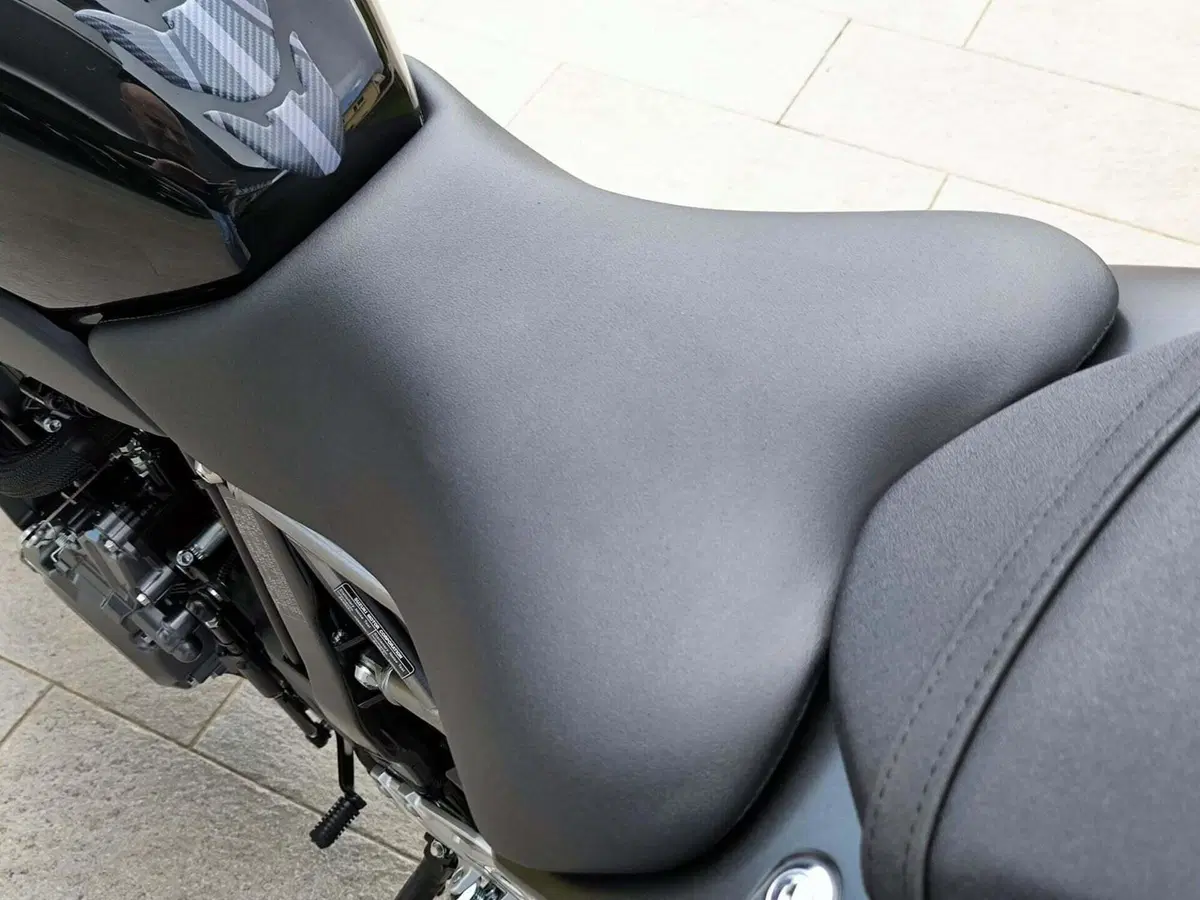 Suzuki GSX-8R (2024 - 26) (10)