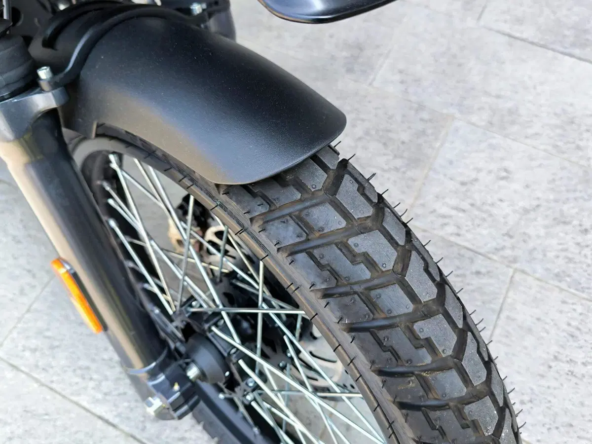 Royal Enfield Himalayan 411 (2021 - 24) (6)