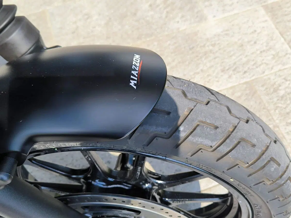 Kawasaki Eliminator 500 SE (2024 - 26) (5)