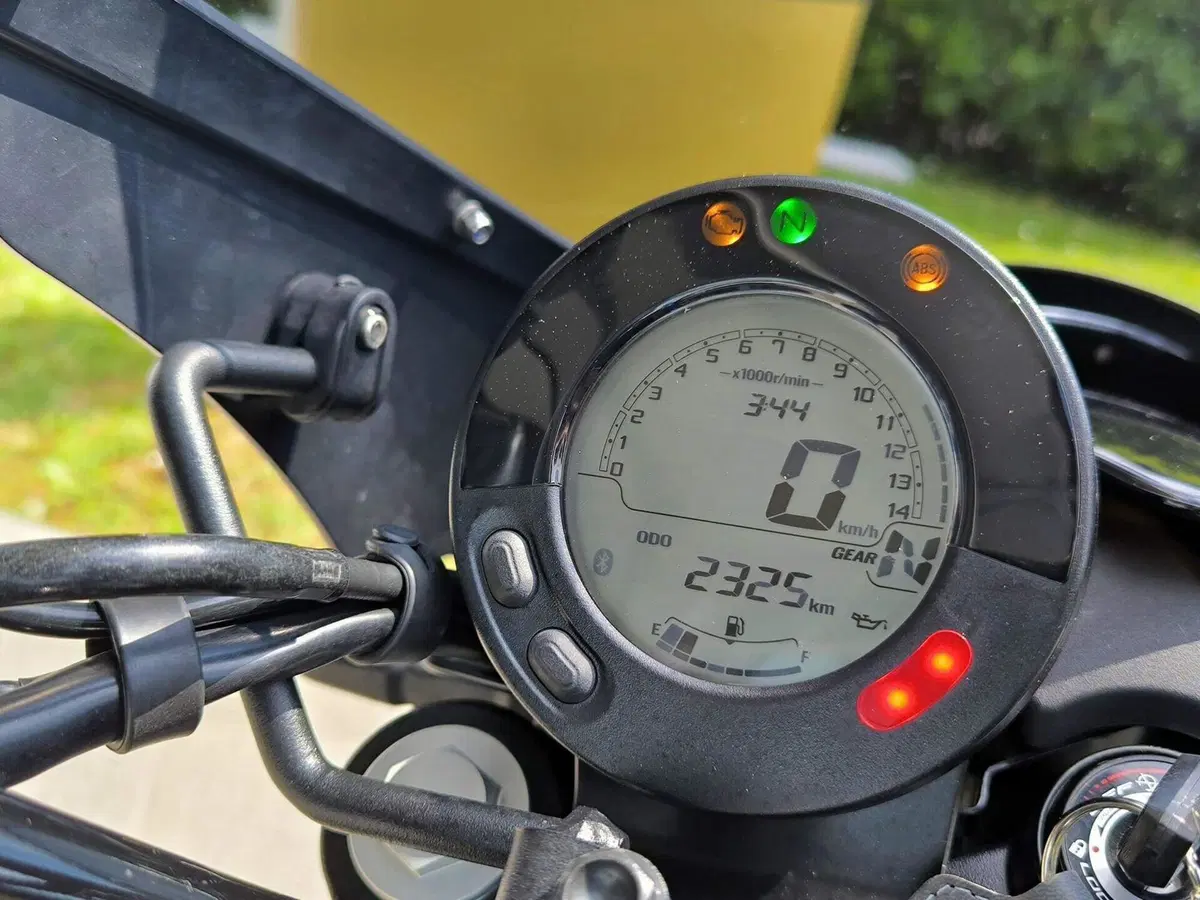 Kawasaki Eliminator 500 SE (2024 - 26) (7)