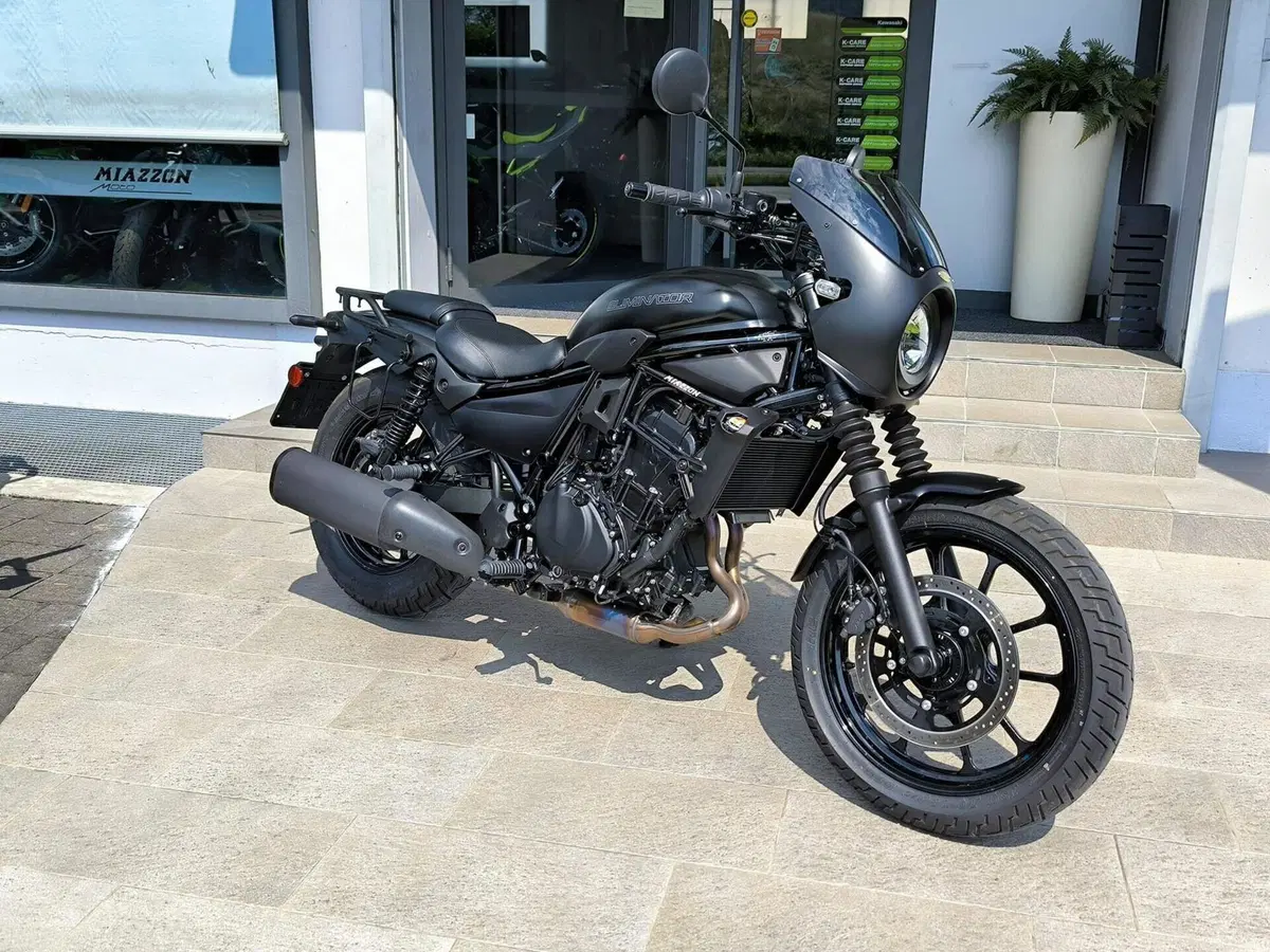 Kawasaki Eliminator 500 SE (2024 - 26) (8)