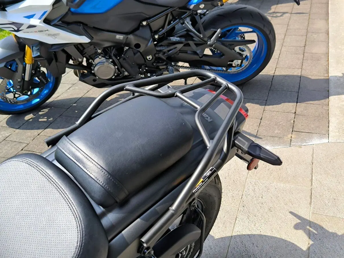 Kawasaki Eliminator 500 SE (2024 - 26) (9)