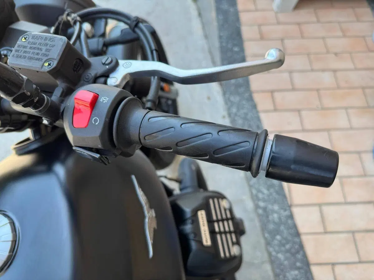 Moto Guzzi V7 Stone (2021 - 24) (15)