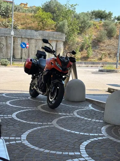 Triumph Tiger Sport 660 (2025) usata