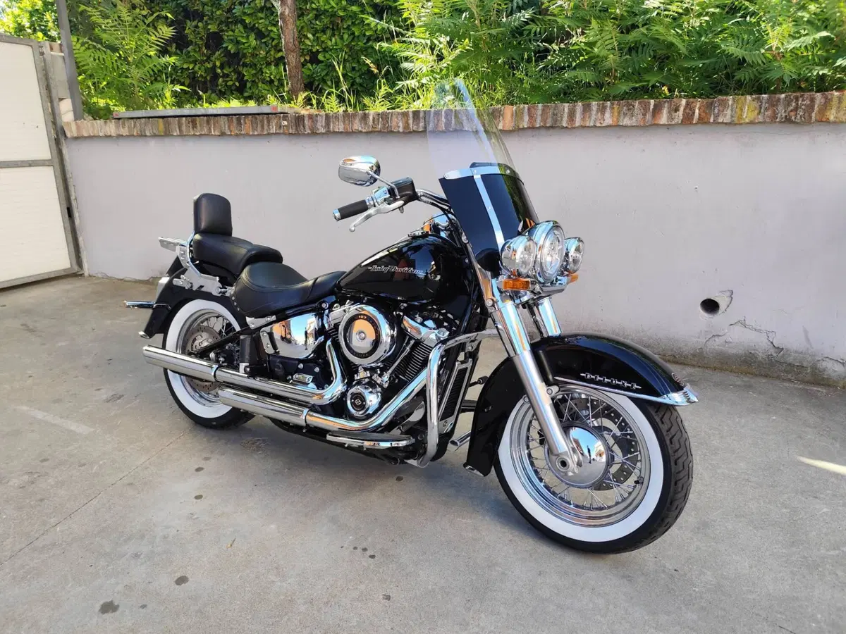 Harley-Davidson 107 Deluxe (2018 - 20) - FLDE (2)
