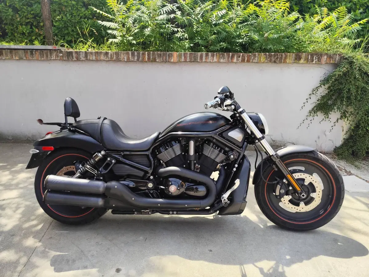 Harley-Davidson 1250 Night Rod Special (2008 - 17) - VRSCDX