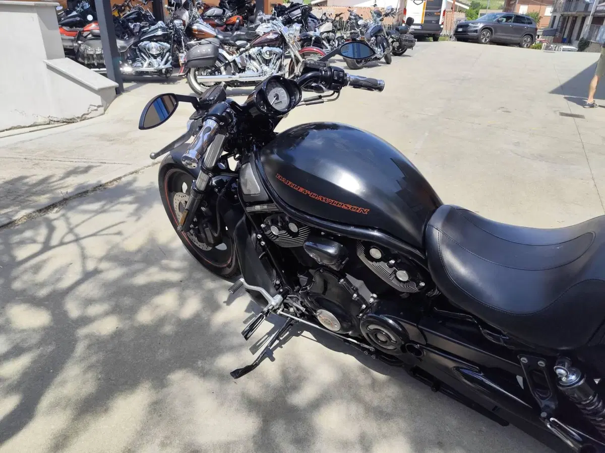 Harley-Davidson 1250 Night Rod Special (2008 - 17) - VRSCDX (8)