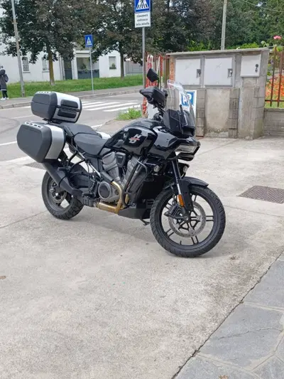Harley-Davidson Pan America 1250 (2020 - 25) usata
