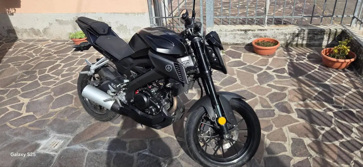 Yamaha MT-125 (2014 - 16) (6)