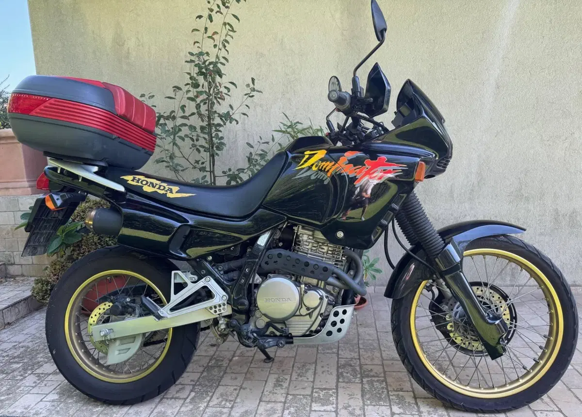 Honda NX 650 Dominator (1991 - 95)