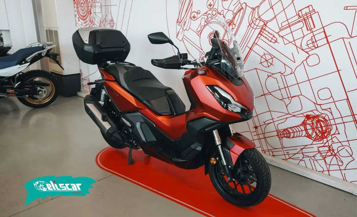 Honda ADV 350 (2022 - 24) (2)