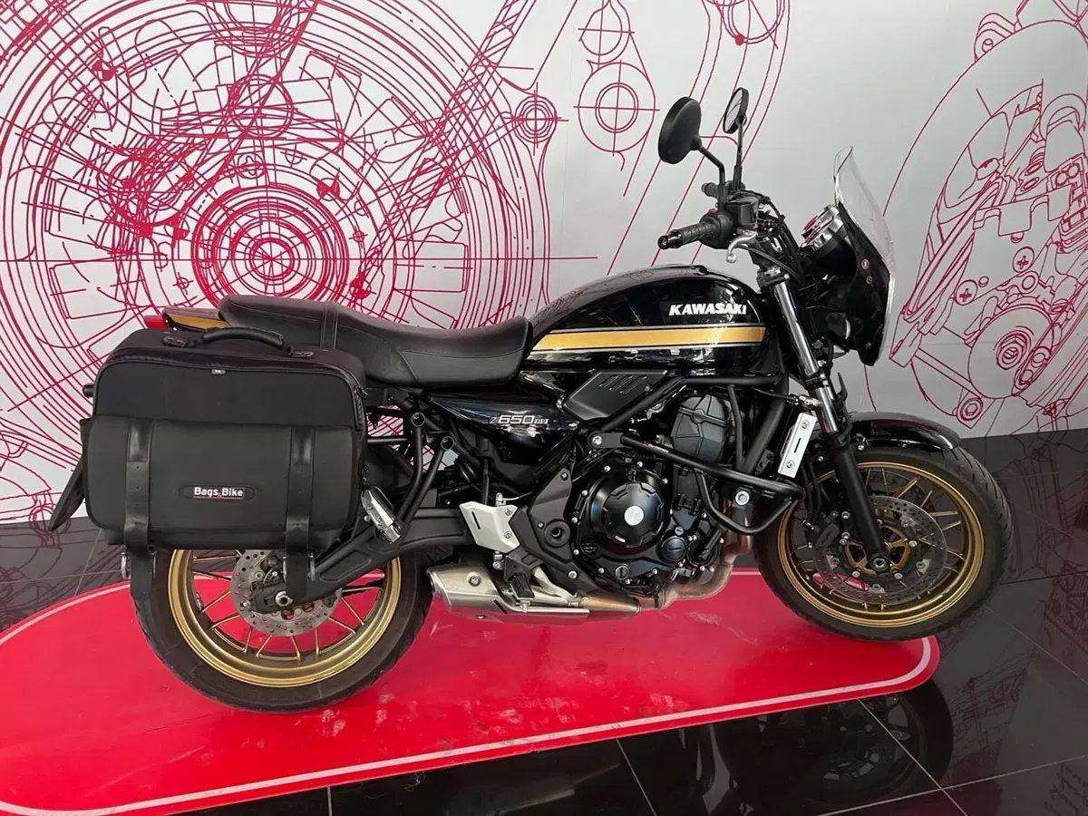 Kawasaki Z 650 RS (2025 - 26)