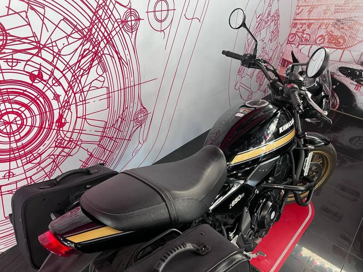 Kawasaki Z 650 RS (2025 - 26) (5)