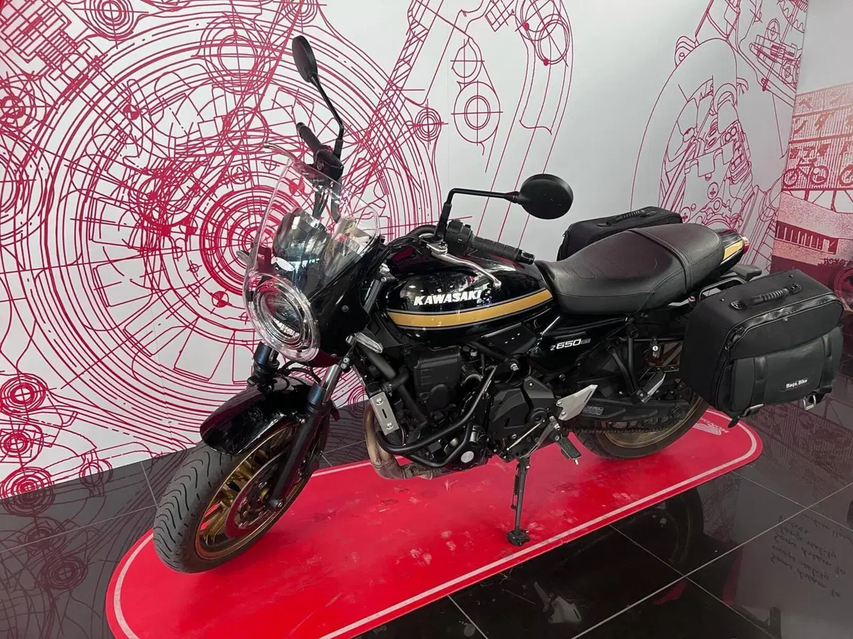 Kawasaki Z 650 RS (2025 - 26) (6)