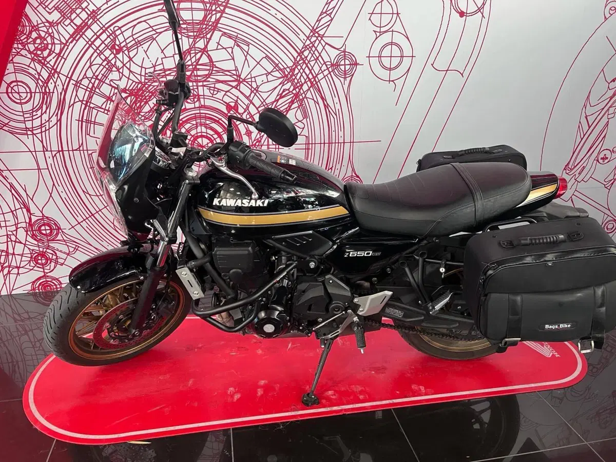 Kawasaki Z 650 RS (2025 - 26) (7)