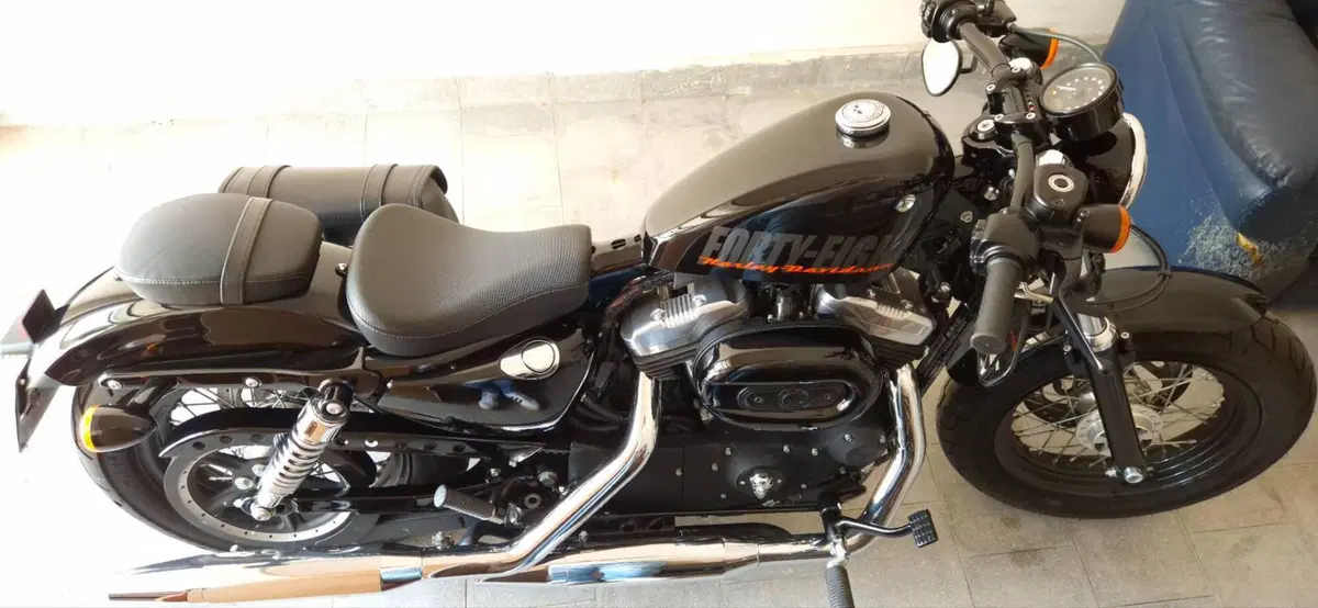 Harley-Davidson 1200 Forty-Eight (2010 - 15) (10)