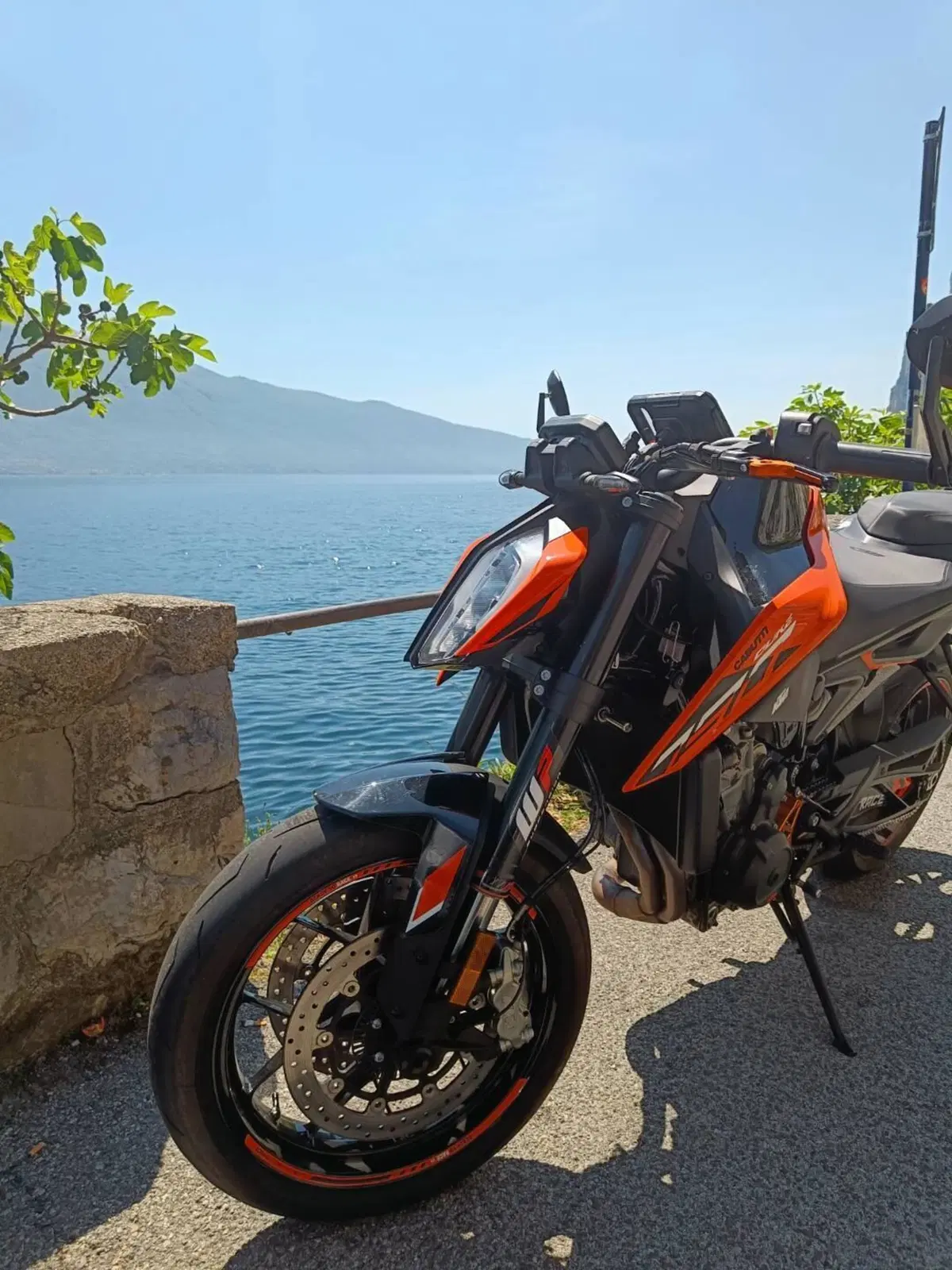 KTM 790 Duke L (2023 - 24) (2)